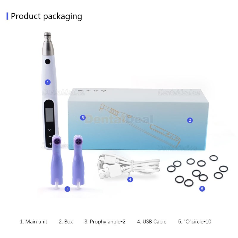 Electric Dental Hygiene Prophy Handpiece 360&deg; Swivel + 2 Prophy Angles
